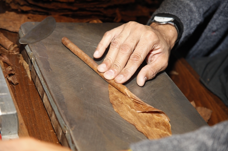 Launch of  FIFTYSIX® collection by Vacheron Constantin